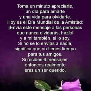 Meet your Posher, Noemi